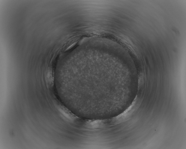 X0000111580186200908131327