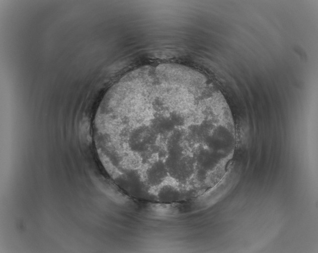 X0000111580187200908131327