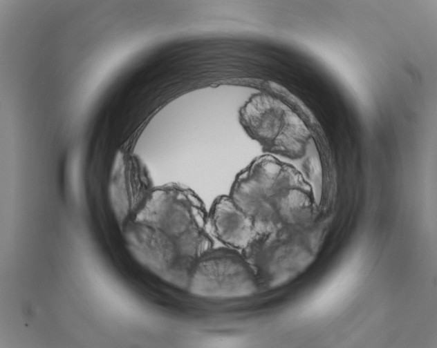 X0000111580189200908131327