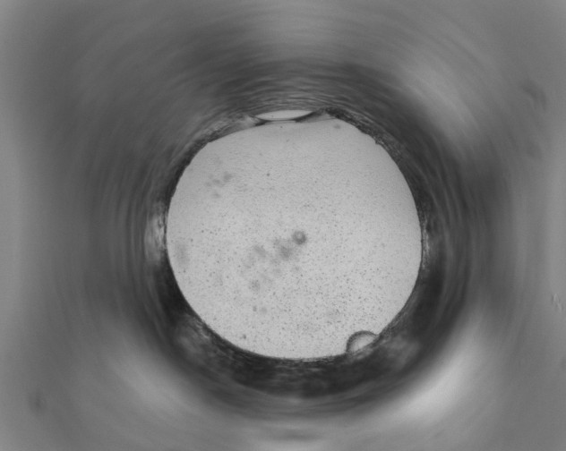 X0000111580190200908131327