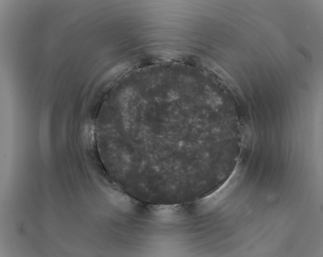 X0000111580191200908131327