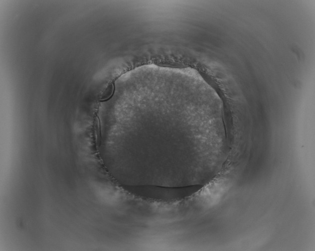 X0000111580192200908131327