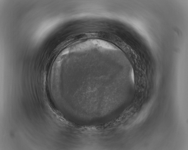 X0000111580194200908131326