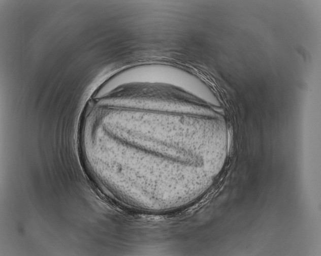 X0000111580195200908131326