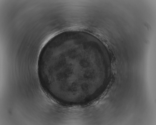 X0000111580196200908131326