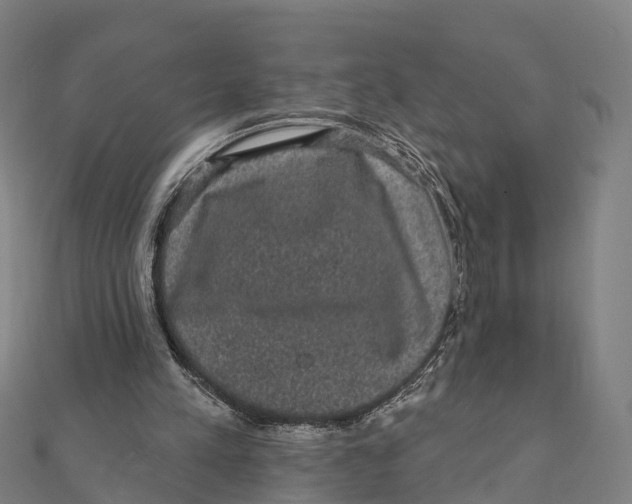 X0000111580197200908131326