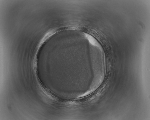 X0000111580198200908131326