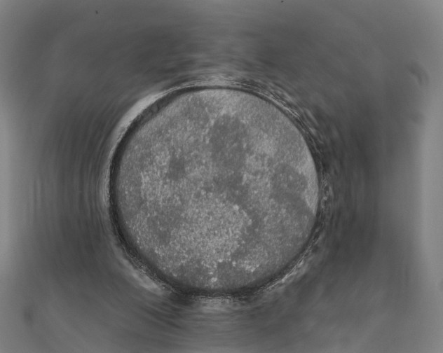 X0000111580200200908131326