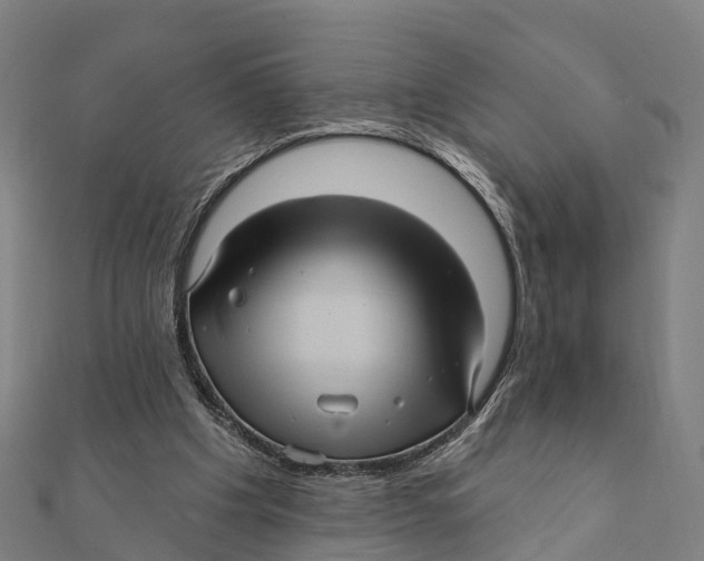 X0000111580201200908131326