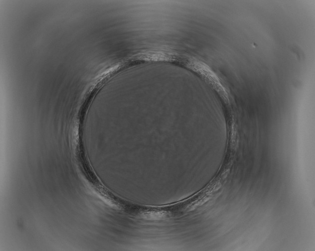 X0000111580202200908131326