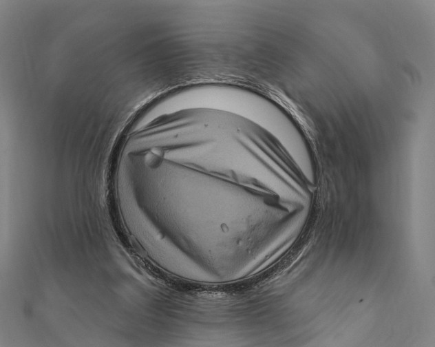 X0000111580203200908131326