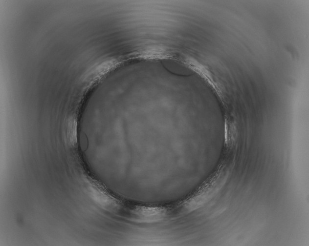 X0000111580205200908131326