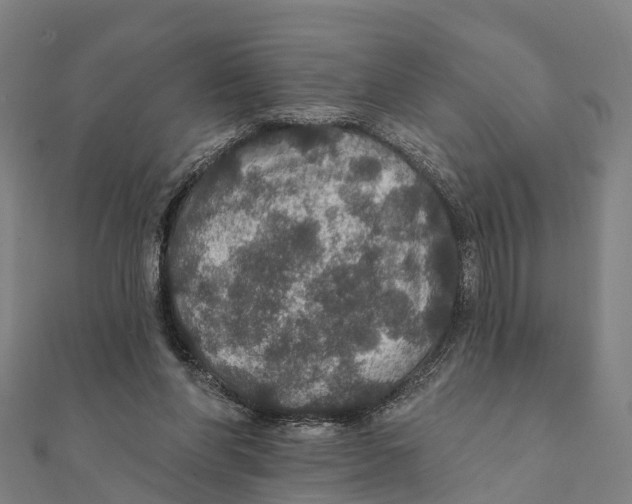 X0000111580206200908131326