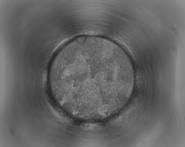 X0000111580208200908131326