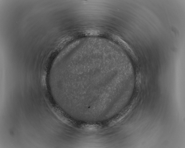 X0000111580209200908131326