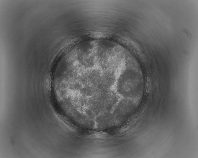 X0000111580210200908131326