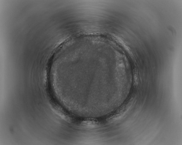 X0000111580211200908131326