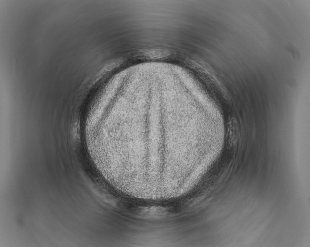 X0000111580212200908131326