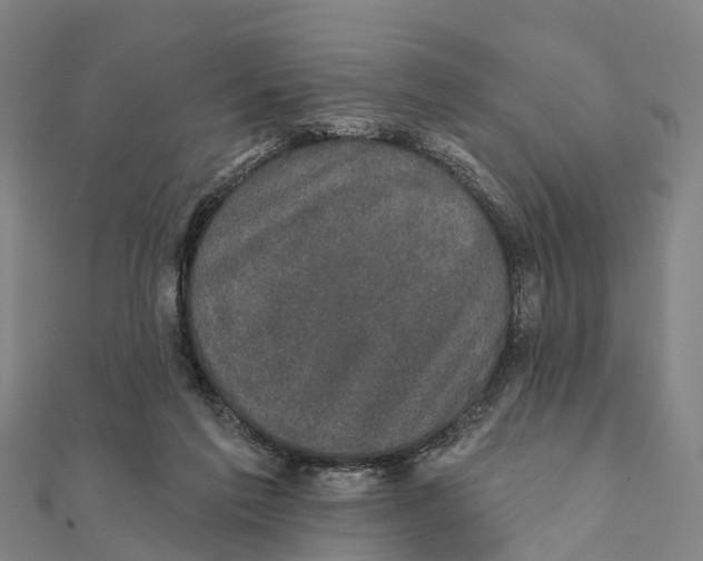 X0000111580213200908131326