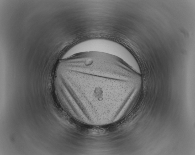 X0000111580215200908131326