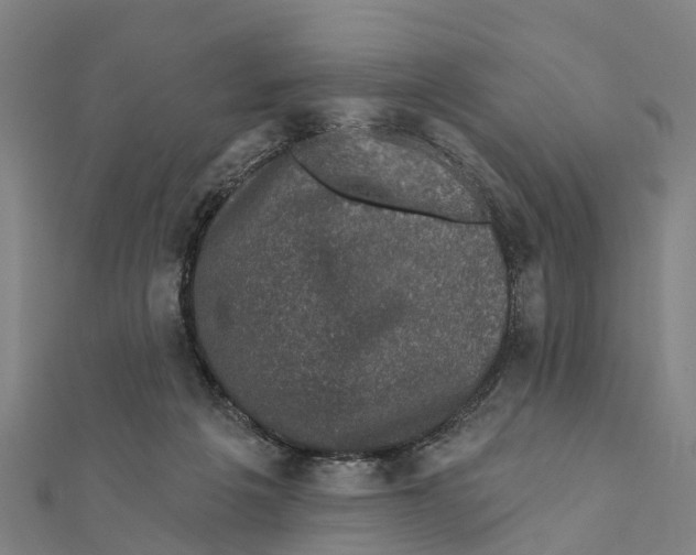 X0000111580217200908131326