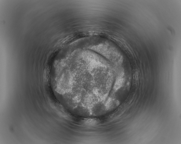 X0000111580218200908131326