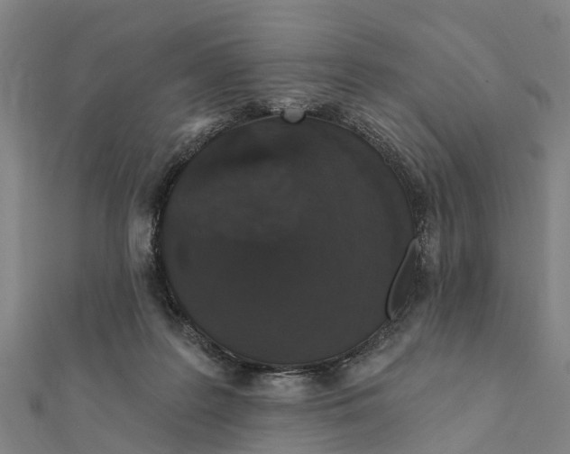 X0000111580219200908131326