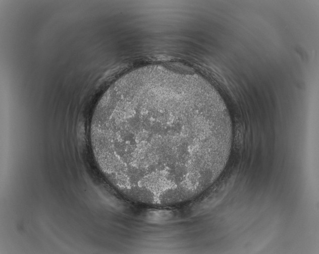 X0000111580220200908131326