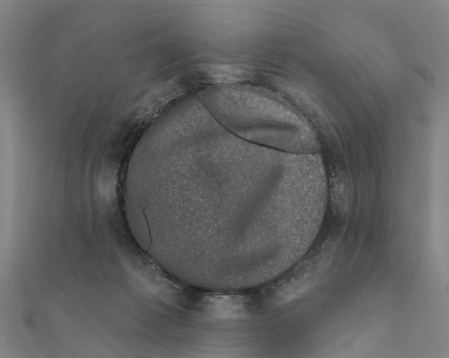 X0000111580221200908131326