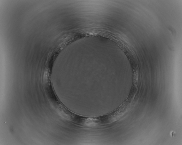 X0000111580222200908131326