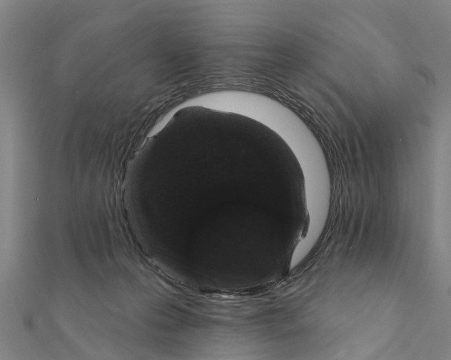 X0000111580223200908131326