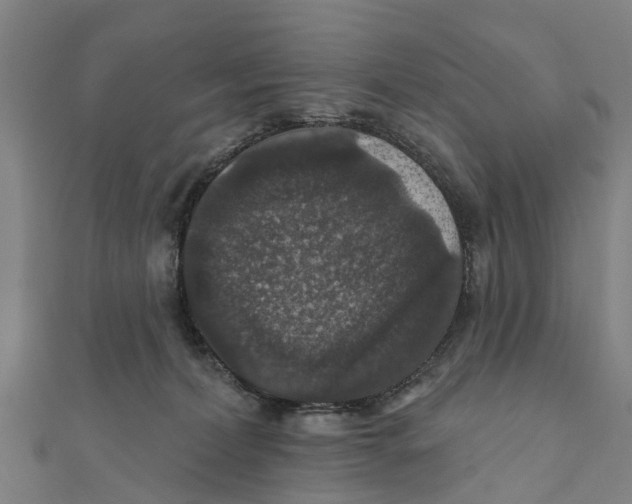 X0000111580228200908131326