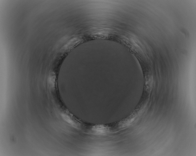 X0000111580231200908131325