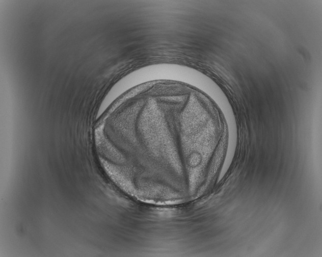 X0000111580233200908131325