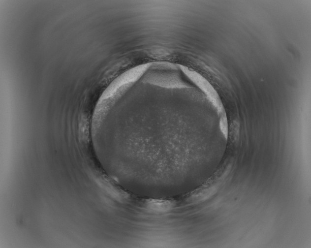 X0000111580234200908131325