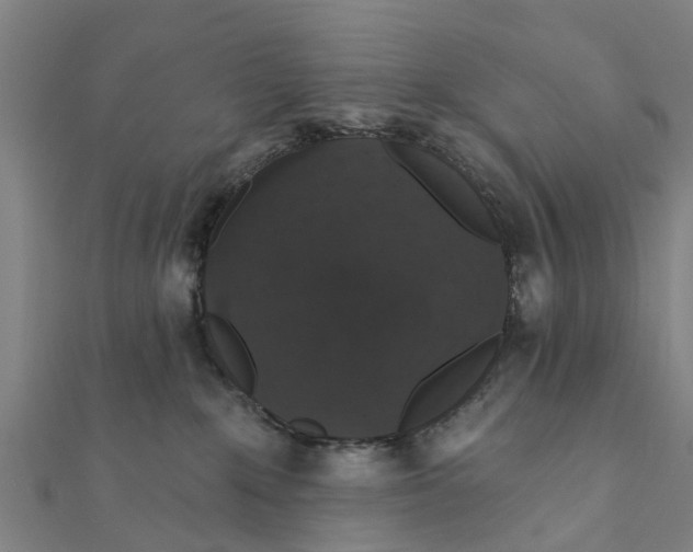 X0000111580235200908131325