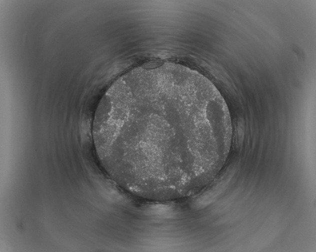 X0000111580236200908131325