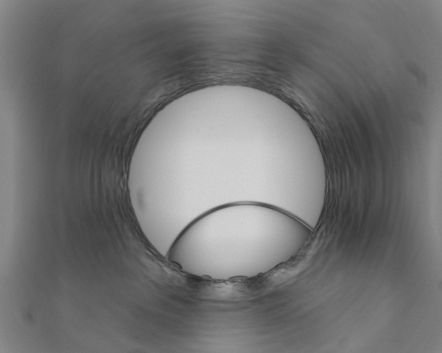 X0000111580237200908131325