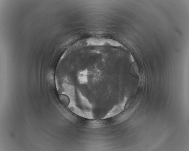 X0000111580238200908131325