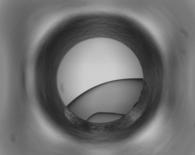 X0000111580239200908131325