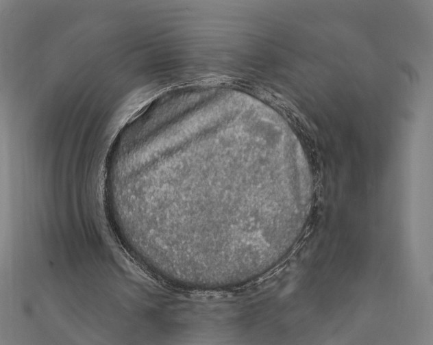 X0000111580242200908131325