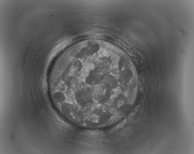 X0000111580245200908131325