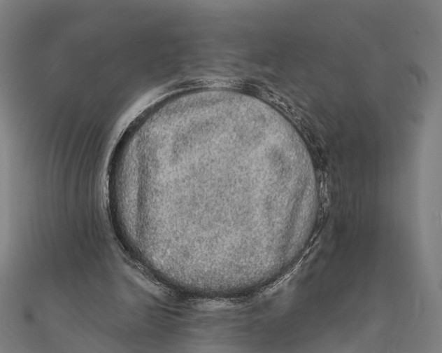 X0000111580246200908131325