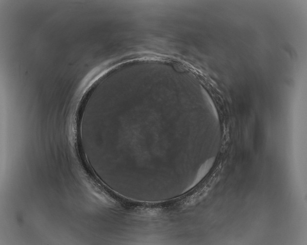 X0000111580247200908131325