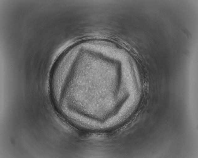 X0000111580248200908131325