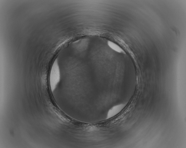 X0000111580249200908131325