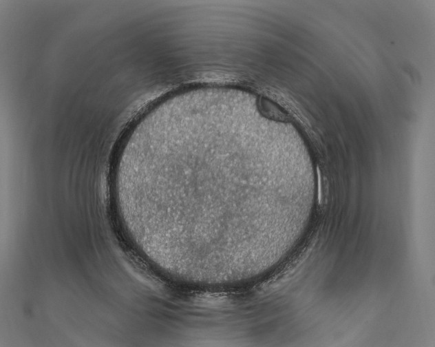 X0000111580252200908131325