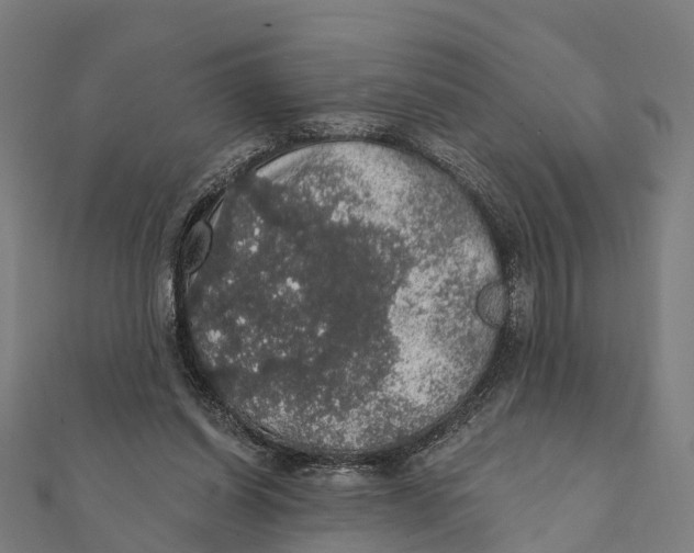 X0000111580254200908131325