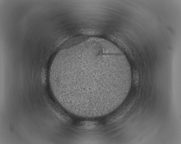 X0000111580255200908131325