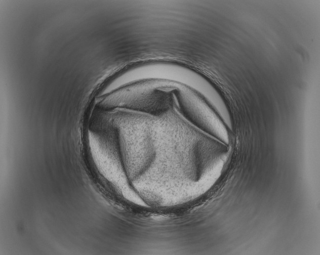 X0000111580256200908131325